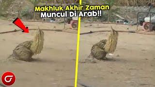 MERINDING!! Warga Arab Digegerkan Kemunculan Makhluk Aneh Secara Tiba2 | Tanda Akhir Zaman?