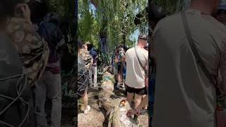 Electric Forest’s Giving Tree: Where relinquished treasures foster instant connections