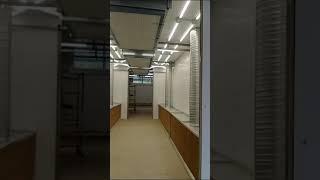 Участок покраски. Окна Столицы.