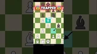 OPENING TRAP ‼️‼️ #sacrifice #edit #chess #ajedrez #shorts #viral