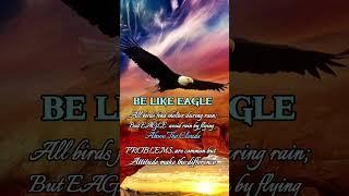 eagle fly above cloud status #motivation #attitude #shorts