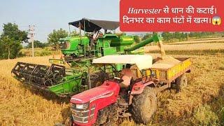 Harvester से धान की कटाई। Paddy Cutting Through Harvester । #harvesting