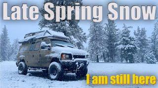 Late Spring Snowstorm - I am still here