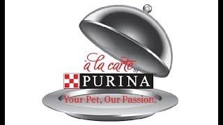 Nestle Purina PetCare - A La Carte Promo Video