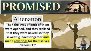 #1 'Promised' (Genesis 3) - 1st December 2024