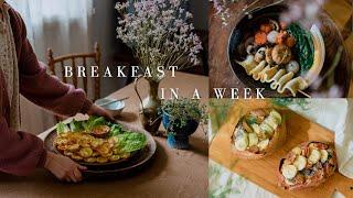 #66 | 7 Healthy & Easy Breakfast Recipes for the Entire Week