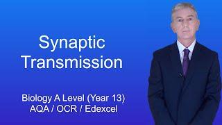 A Level Biology Revision (Year 13) "Synaptic Transmission"