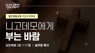 니고데모에게 부는 바람 | 송주영 목사 | 2025-03-09 용인제일교회 주일저녁예배