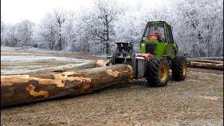 Ťažba buka Orvex LT100 Working in forest 