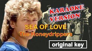 SEA OF LOVE- The Honeydrippers KARAOKE original key