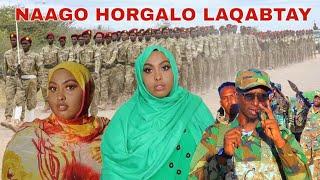 DEG DEG:GABDHO U SHAQAYNAYA SOMALILAND OO HORGAL AH OO LAGU QABTAY SOOL DAAWO XOGTAN