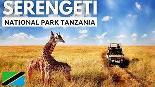 SERENGETI NATIONALPARK: Eines der sieben Naturwunder Afrikas