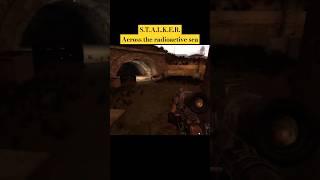 S.T.A.L.K.E.R. Seafarers of the Zone #stalker #gaming #stalker2