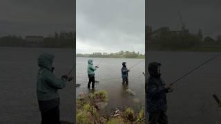 Мокрый окунь А вы любите рыбачить в дождь ? #fishing