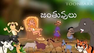 Janthuvulu | Animals in telugu | Balasiksha |Telugu learning’s | By Tooniarks