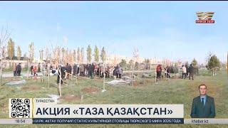 Пять тысяч деревьев посадили в Туркестане