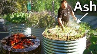 What Happens When You Use Ash in the Garden?