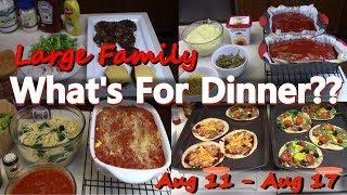 Week of Dinners - August  11 - 17