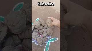Holi Sundar Angan  Holi Rangoli Designs Vear Easy Rangoli//#shorts