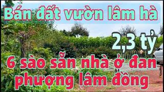 Bán đất vườn lâm hà, diện tích 6 sào sẵn nhà ở quy hoạch full thổ cư đan phượng lâm đồng