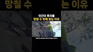 인간이 투자를 망칠 수 밖에 없는 이유 (feat. 클루지)  #미국경제 #미국주식 #투자철학 #재테크