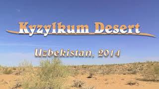 Kyzylkum Desert 2014