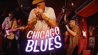 Puro BLUES de Chicago con NASTY BOOGIE