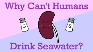 Why Can't Humans Drink Seawater?