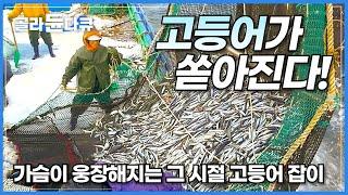 선단마다 평균 150억씩은 잡아 올렸다는 그리운 그 시절의 고등어잡이 다시 보기│고등어가 국민 생선이었던 이유│10시간 몰아 한 번에 잡아 올리는 어업 기술│한국기행│#골라듄다큐