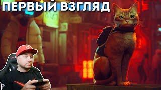 STRAY: ПЕРВЫЙ ВЗГЛЯД (на русском языке)