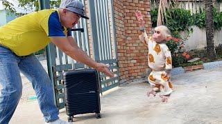 So happy! Monkey Luk reunited with dad after business trip 