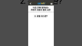 15초 안에 알아보는 자동차 용어사전 '운용 리스'