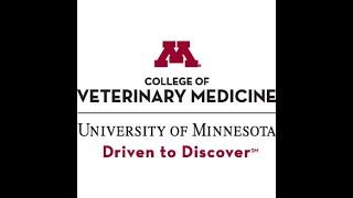 UMN College of Veterinary Medicine Virtual Tour