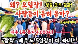 김포5일장! 배추 큰거 4,000원! 왜 오일장! 사람들이 몰려올까? 깜짝 배추도 5일장이 더 싸네! 소문내지마! #폭락 #시장 #food #배추 #김치 #반찬 #먹거리 #수산물