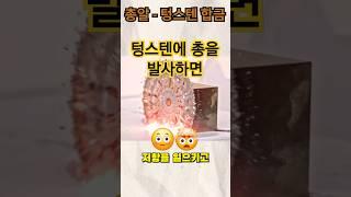총 vs 텅스텐          #과학 #과학상식 #지식