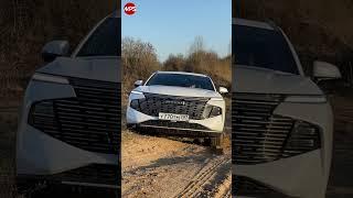 Haval F7 показал зубы на бездорожье: без нюансов не обошлось! Скоро смотрите полный тест на AutoMPS