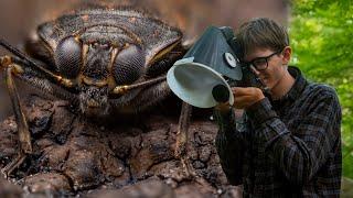 Macro Photography in Nova Scotia - Macro Walks ep6