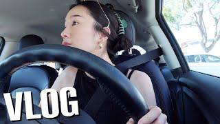 ENG) Weekend Vlog: chill weekend, driving around,  tik tok salmon bowl