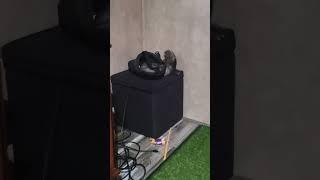 mr furgi is a vr master!