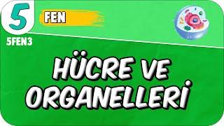 Hücre ve Organelleri  tonguçCUP 1.Sezon - 5FEN3 #2025