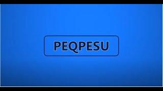 Projet PEQPESU