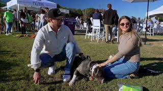 2024 PAWS IN THE PARK!