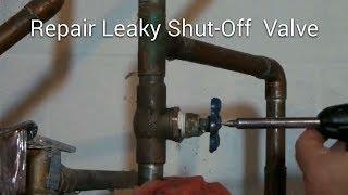 Repair Leaky Shut-Off Valve Howto DIY Fix It - Please Read Safety Tips & **New Info** in Description