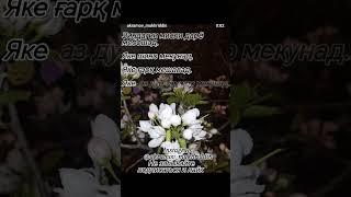 як мисра