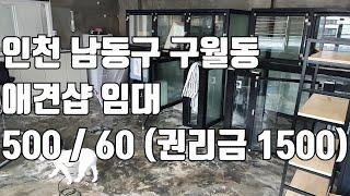 [애견샵임대] 19평에 500 / 60 저렴한 임대료의 애견샵 급매물 ! 인천 남동구 구월동에 위치한 애견샵