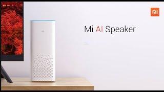 Xiaomi AI Speaker