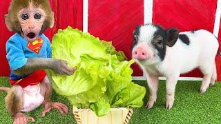 Bebé Mono Bon Bon Va A Cosechar Verduras Y Come Con Un Cerdo Lindo - MONO BONBON ESP