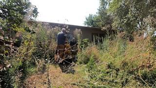 Tall Grass ASSAULT On This OVERGROWN Backyard