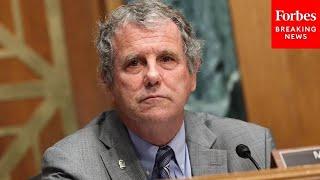 'A Free, Independent Media Is Vital To Our Democracy': Sherrod Brown Praises Journalists