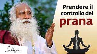 Prendere il controllo del Prana | Sadhguru Italiano #pranayama